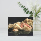 Carte postale Collection Seashell (Debout devant)