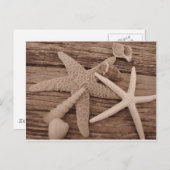 Carte Postale Collection Shell (Devant / Derrière)