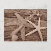 Carte Postale Collection Shell (Devant)