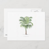 Carte Postale Collection Tropical Palm - image 1 (Devant / Derrière)
