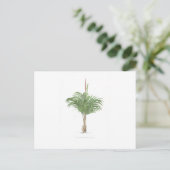 Carte Postale Collection Tropical Palm - image 2 (Debout devant)