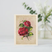 Carte postale - Collection Vintage - Vol.3 - Carte (Debout devant)