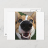 Carte Postale Collection Welsh Corgi Chien Nose (Devant / Derrière)