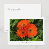 Carte postale collective Orange Gerbera Daisy (Devant / Derrière)