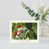 Carte postale collective Pineapple Guava (Debout devant)