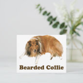 Carte Postale Colley (Debout devant)