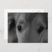 Carte Postale Colley (Devant / Derrière)