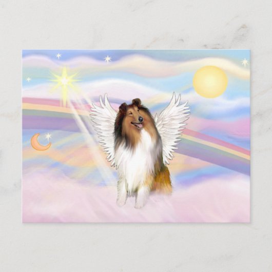 Carte Postale Collie (Devant)