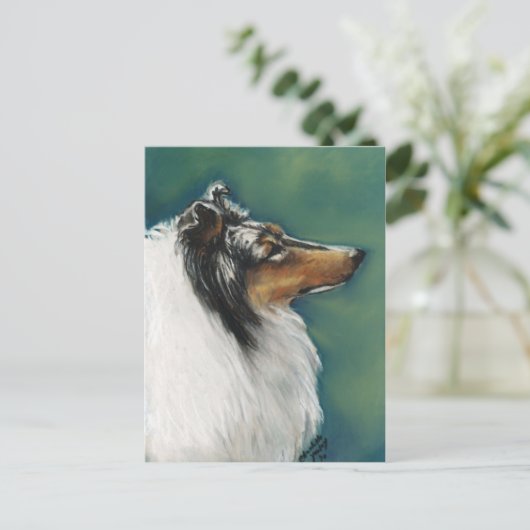 Carte postale "Collie" (Debout devant)