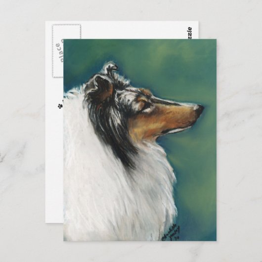 Carte postale "Collie" (Devant / Derrière)