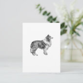 Carte Postale Collie (Debout devant)