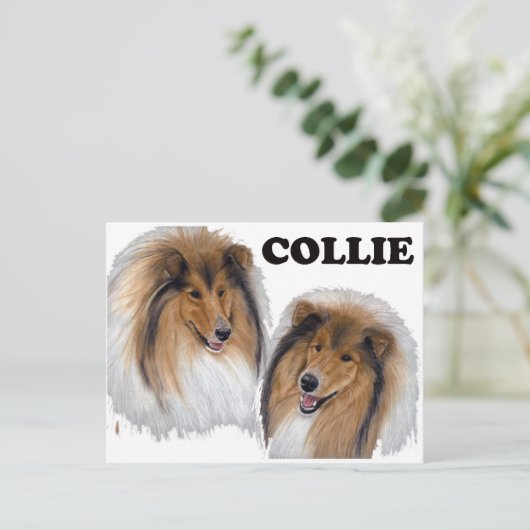 Carte Postale Collie (Debout devant)