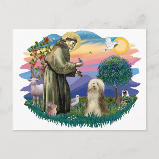 Carte Postale Collie à poils (crème brune) (Devant)