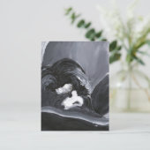 Carte Postale Collie Bordure Pose La Peinture (Debout devant)