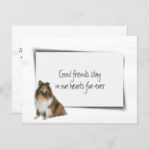 Carte Postale Collie Chien Animal de compagnie Sympathy Loss