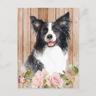 Carte Postale Collie de Border aquarelle & fleurs