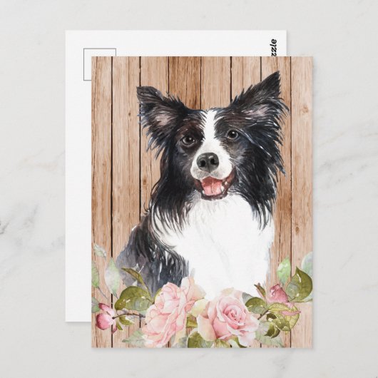 Carte Postale Collie de frontière à l'aquarelle & Fleurs (Devant / Derrière)
