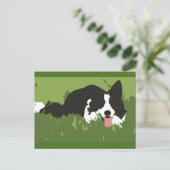 Carte postale Collie Dog (Debout devant)