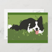 Carte postale Collie Dog (Devant / Derrière)