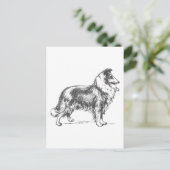 Carte Postale Collie Dog (Debout devant)