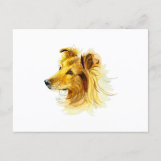 Carte Postale Collie Dog Portrait