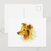 Carte Postale Collie Dog Portrait (Devant / Derrière)