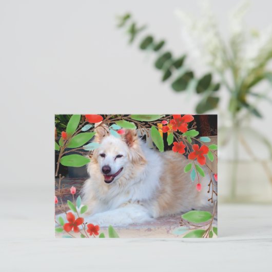 Carte Postale Collie d'or et blanc Mélanger Chien avec Fleurs (Debout devant)