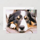 CARTE POSTALE COLLIE FRONTALIÈRE (Devant / Derrière)