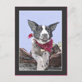 Carte Postale Collie Heeler Mix Dog Sketch Art Hello (Devant)