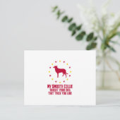 Carte Postale Collie lisse (Debout devant)