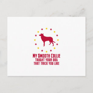 Carte Postale Collie lisse