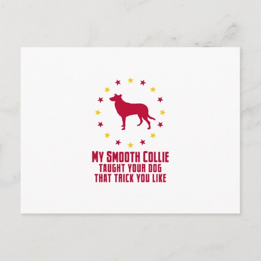 Carte Postale Collie lisse (Devant)