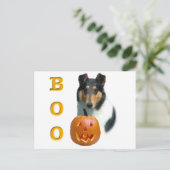 Carte Postale Collie (lisse) Boo (Debout devant)
