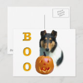 Carte Postale Collie (lisse) Boo (Devant / Derrière)