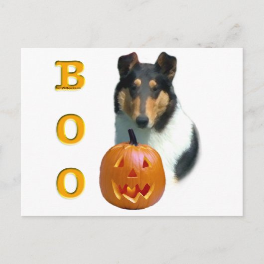 Carte Postale Collie (lisse) Boo (Devant)
