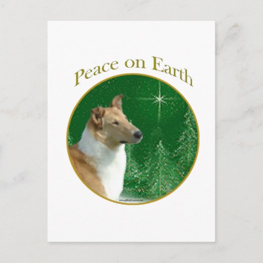 Carte Postale Collie Paix sur Terre (Devant)