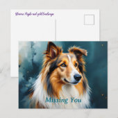 Carte Postale Collie Portrait Missing You (Devant / Derrière)