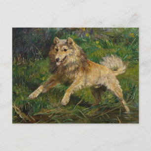 Carte Postale Collie prend une grenouille par Hermine Biedermann
