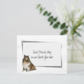 Carte Postale Collie sympathie perte d'animal de compagnie (Debout devant)