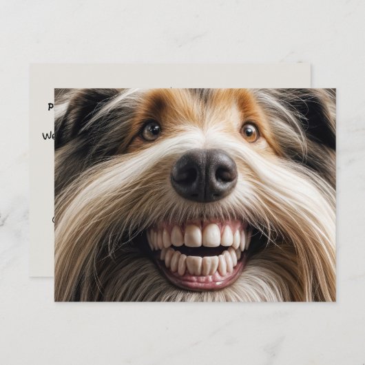 Carte Postale Collie Toothy Smile (Devant / Derrière)