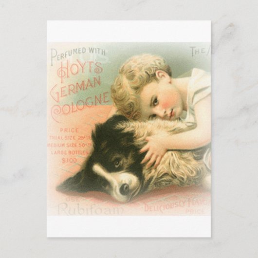 Carte postale Collie vintage (Devant)