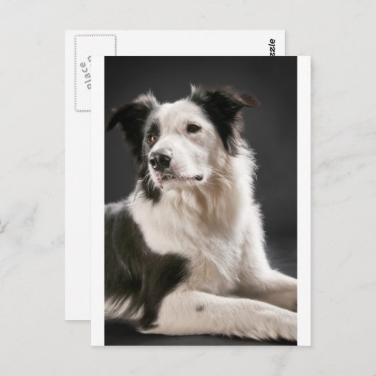 Carte Postale Collier frontalier (Devant / Derrière)