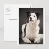 Carte Postale Collier frontalier (Devant / Derrière)