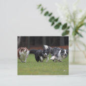 Carte Postale collier trio (Debout devant)