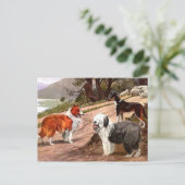Carte postale Collies peintes vintages (Debout devant)