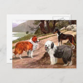 Carte postale Collies peintes vintages (Devant / Derrière)