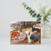 Carte postale Collies peintes vintages (Debout devant)