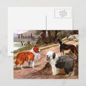 Carte postale Collies peintes vintages (Devant / Derrière)