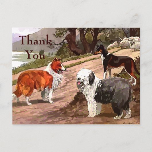 Carte postale Collies peintes vintages (Devant)
