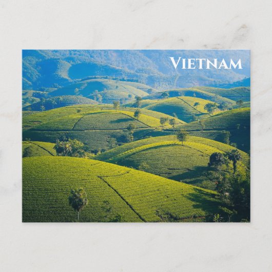 Carte Postale Colline de thé Long Coc au Vietnam - Photo de voya (Devant)